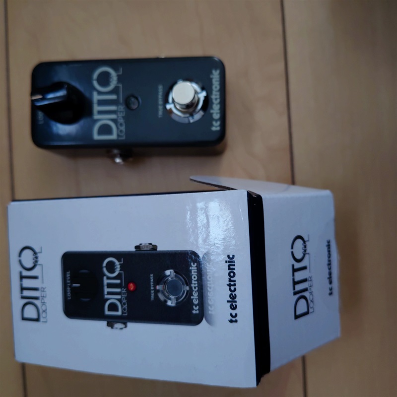 tc electronic DITTO LOOPERの画像